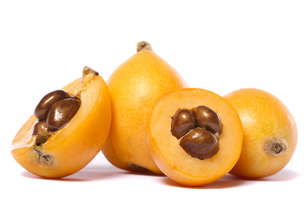 Close up view of some loquat fruit isolated on a white background.