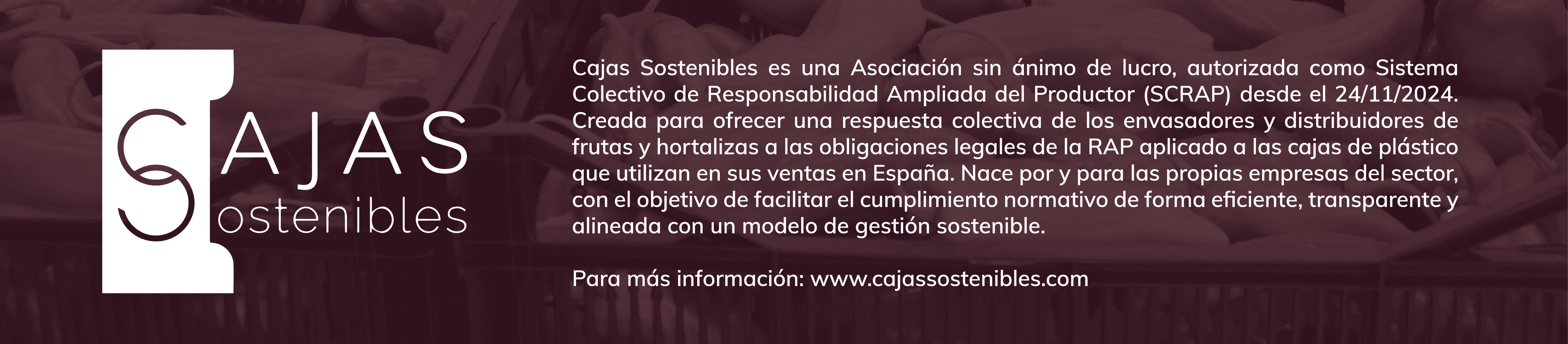 CAJAS SOSTENIBLES
